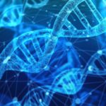 dna-3539309