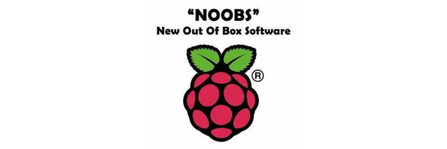 Raspberry Pi NOOBS 3.8 Lite (Image, 32-bit)